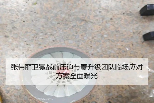 张伟丽卫冕战前压迫节奏升级团队临场应对方案全面曝光